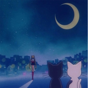 春阳萌花视频全集
