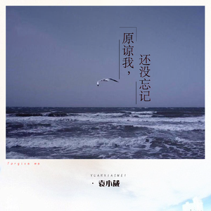 春阳萌花视频全集
